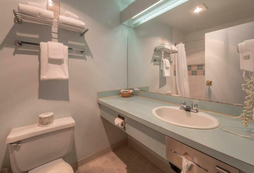 스탠다드 룸 퀸사이즈 침대, The Cedars Inn Hotel & Convention Centre
