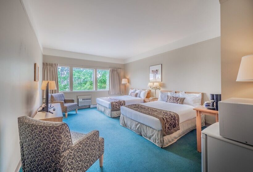 스탠다드 룸 더블 침대 2개, The Cedars Inn Hotel & Convention Centre
