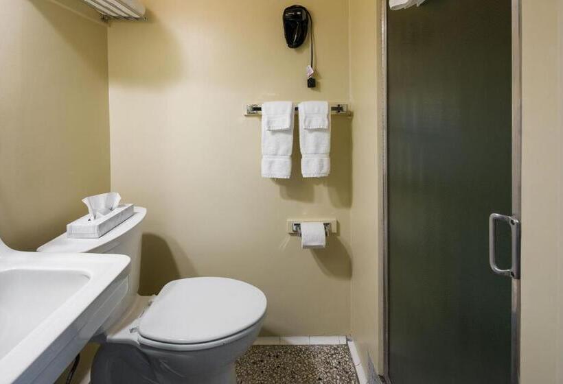 اتاق لوکس با تخت دو نفره بزرگ, Finlen Hotel And Motor Inn
