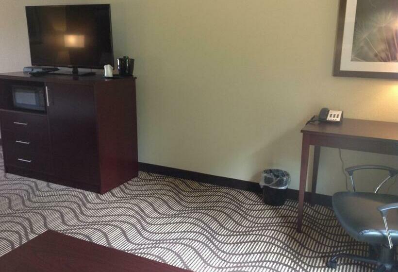 带大床的标准间, Executive Inn And Suites Jefferson
