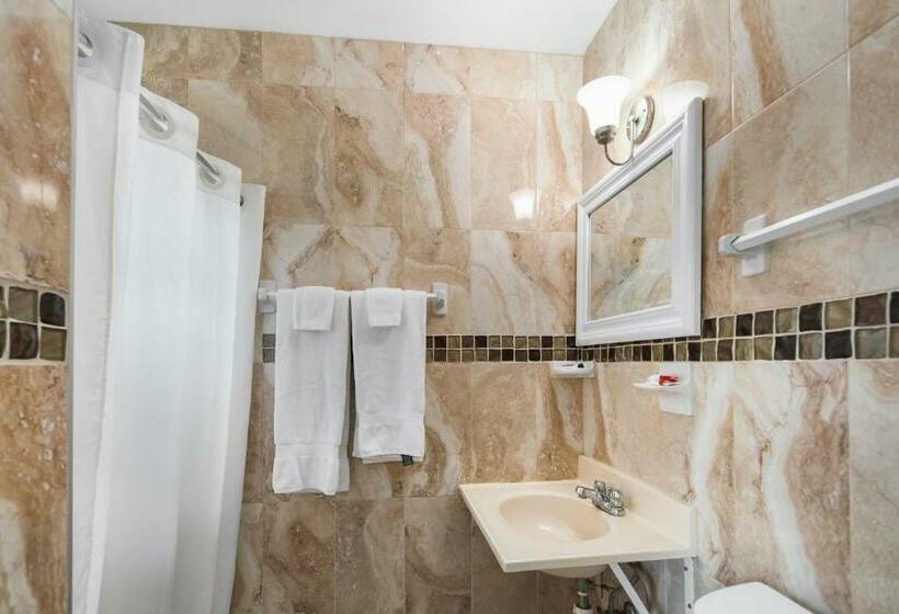 חדר סטנדרט, Tamiami Motel
