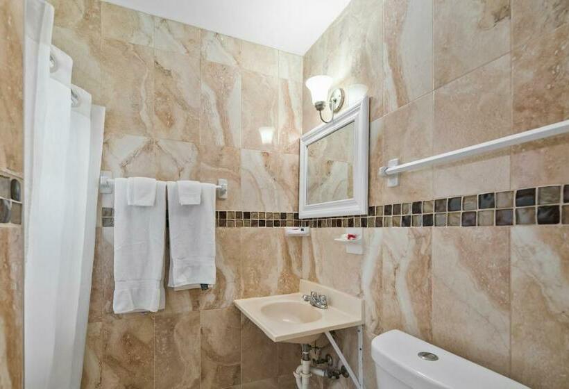 חדר סטנדרט עם מיטת קינג, Tamiami Motel