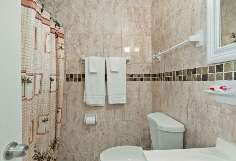 חדר סטנדרט עם מיטת קינג, Tamiami Motel