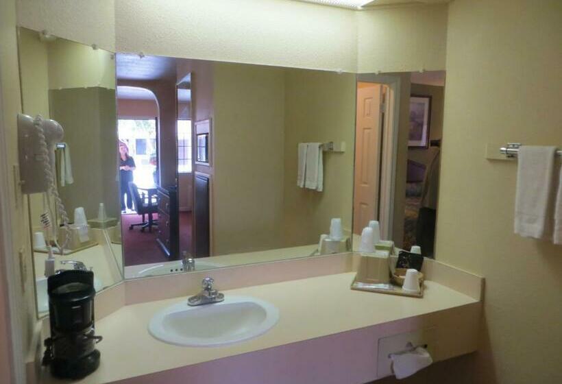 Номер Стандарт, Pleasanton Executive Inn