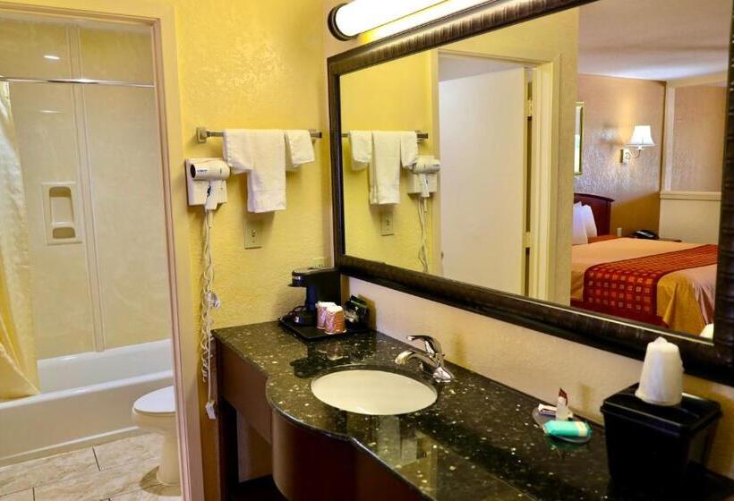 스위트 킹사이즈 침대, Regency Inn & Suites
