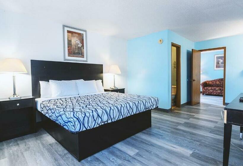 Номер Стандарт, Sky Palace Inn & Suites Wellington