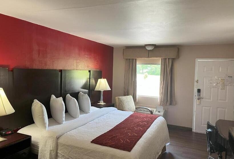 适合残疾人士使用的带超级大床的标准间, Pinetree Inn