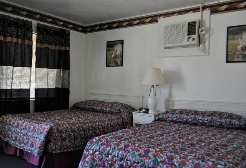 Номер Стандарт, Western Motel