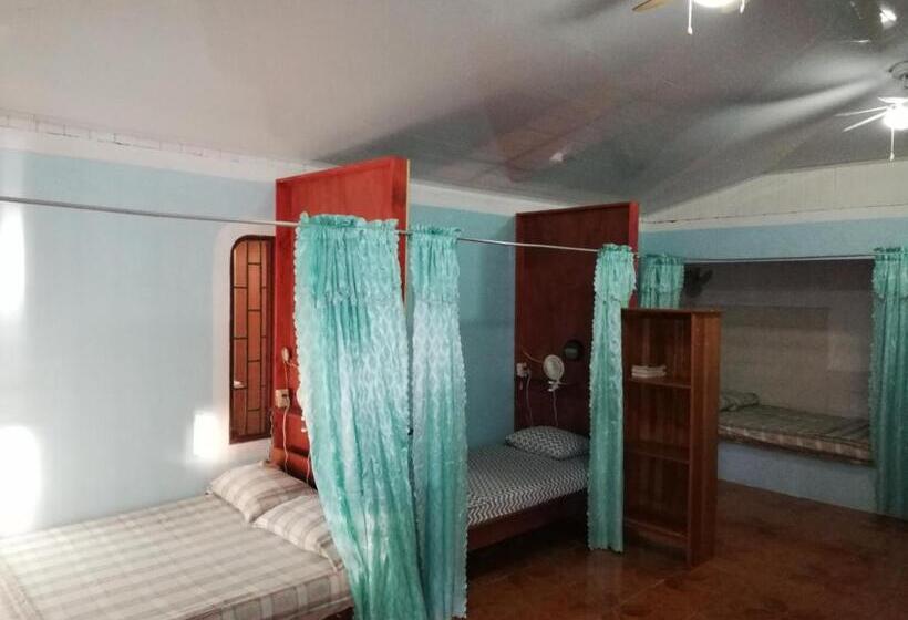 تختخواب در اتاق مشترک, Corcovado Wild Hostel