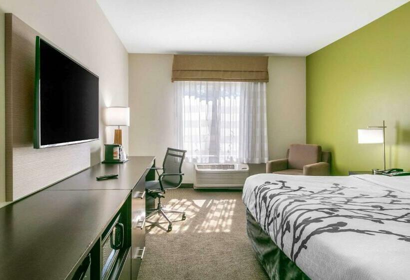 带大床的标准间, Sleep Inn & Suites