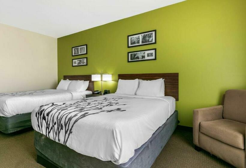 스탠다드 룸, Sleep Inn & Suites
