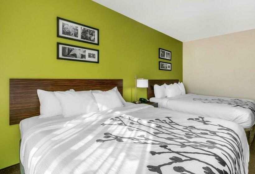 标准间, Sleep Inn & Suites