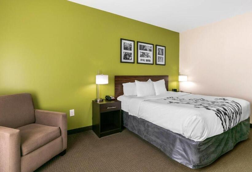 带大床的套房, Sleep Inn & Suites