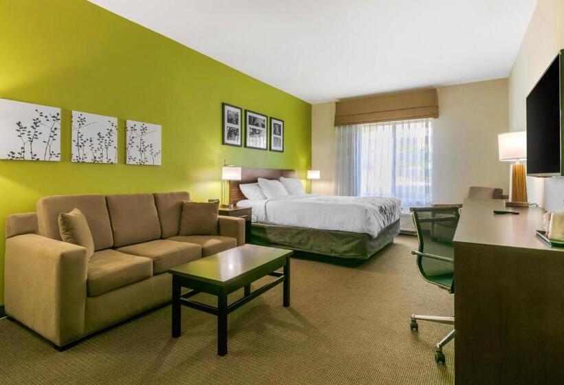 带大床的套房, Sleep Inn & Suites