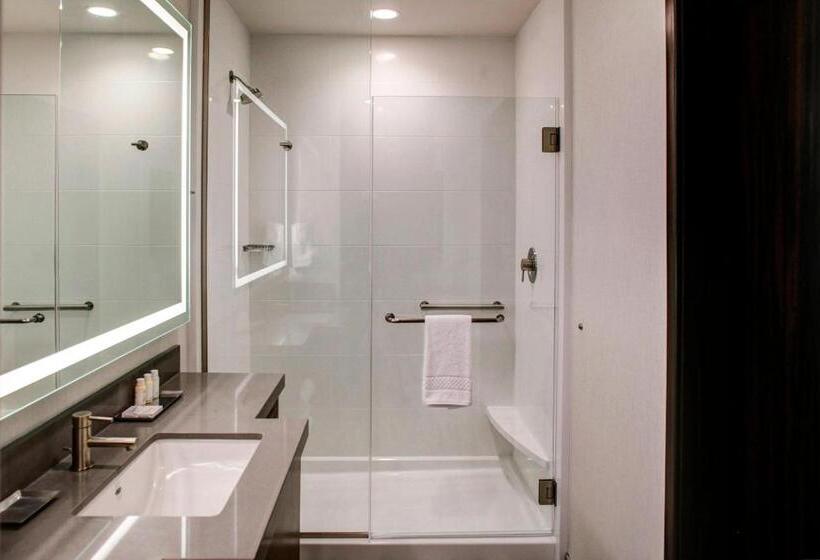 스위트, Springhill Suites By Marriott Bozeman