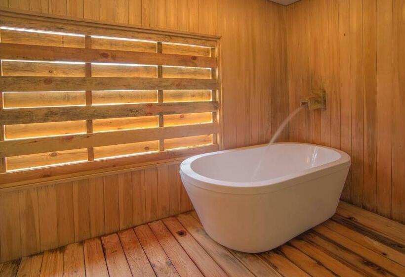 اتاق استاندارد, Kusatsu Onsen Eidaya