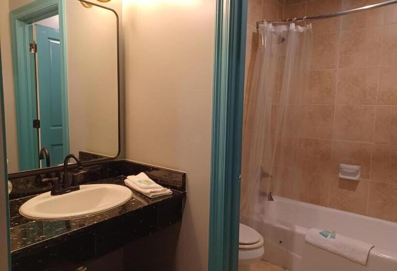 Номер Deluxe, Natchez Manor Bed & Breakfast