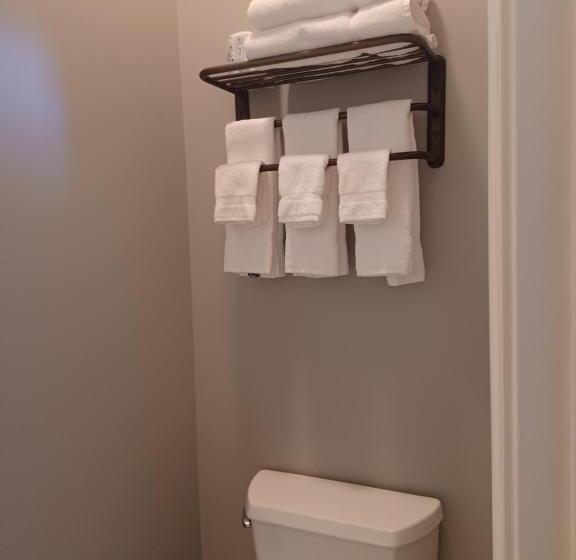 Студия Deluxe, Natchez Manor Bed & Breakfast