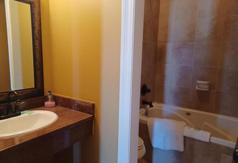 Люкс Deluxe Кровать Кинг, Natchez Manor Bed & Breakfast