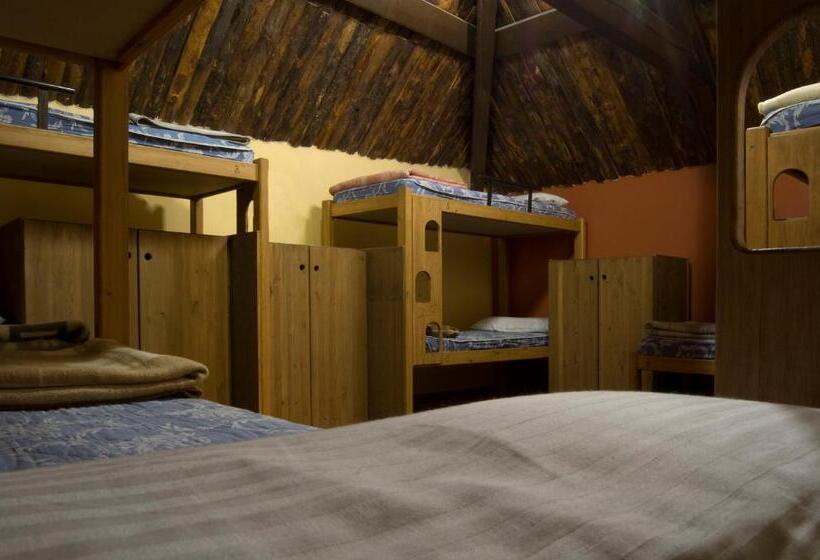 Кровать в Общей Комнате, Albergue Refugio Sargantana