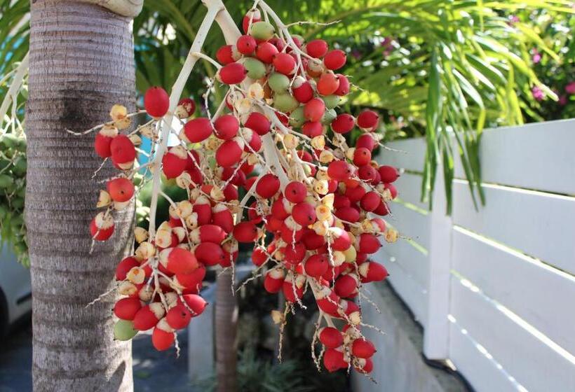 سوییت با چشم‌انداز استخر, Majesty Palm
