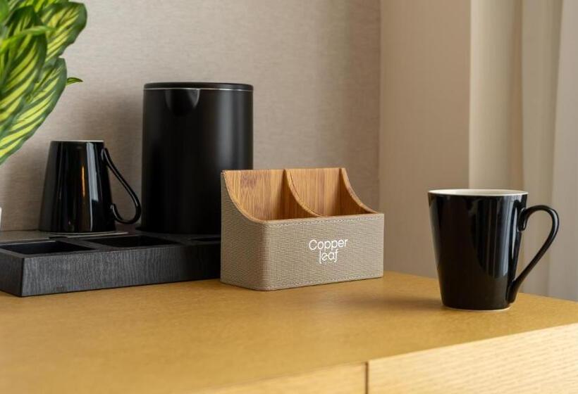 Номер Стандарт, Copper Leaf Hotels, Tirunelveli