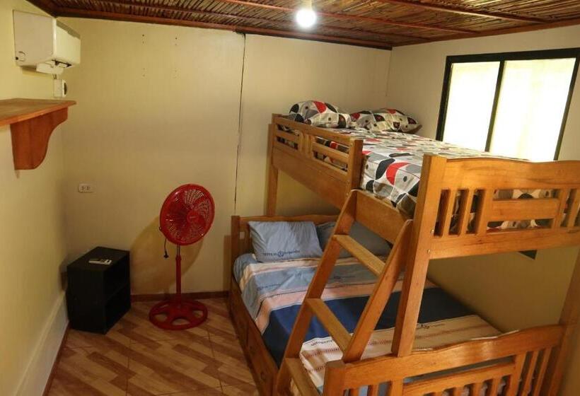 اتاق استاندارد, Irakunumi Hostel