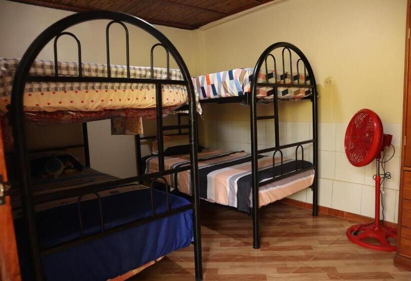 اتاق استاندارد چهار تخته, Irakunumi Hostel