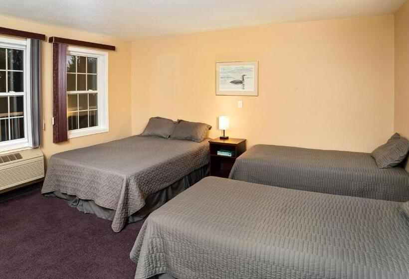Номер Стандарт, Motel Royal Papineau