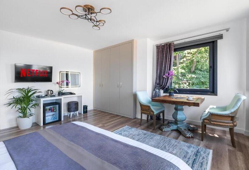 Номер Deluxe Вид на Море, Hillora Hotel Buyukada