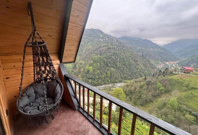 بانگلوی استاندارد, Eva Bungalov