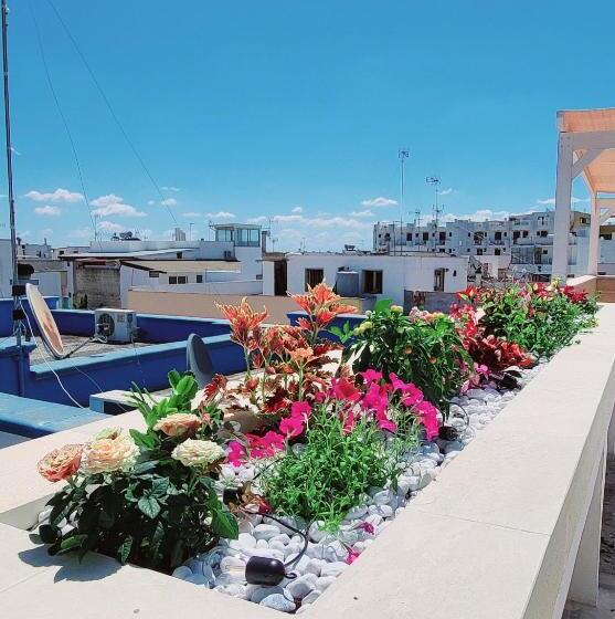 اتاق سوپریور خانوادگی, Aquamarina Rooms