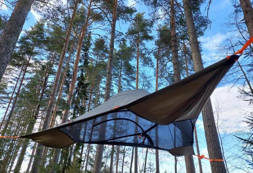 Standard Tent, Honkiniemi