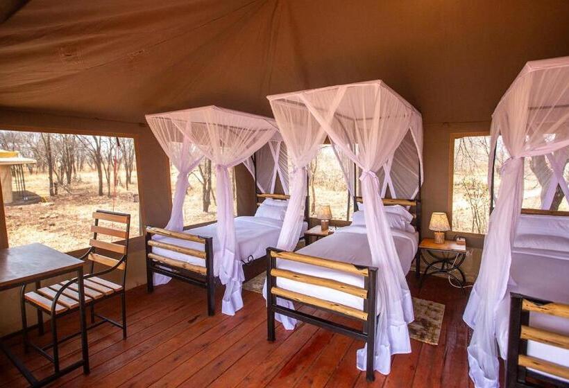 اتاق استاندارد سه تخته با بالکن, House Of Nature Serengeti