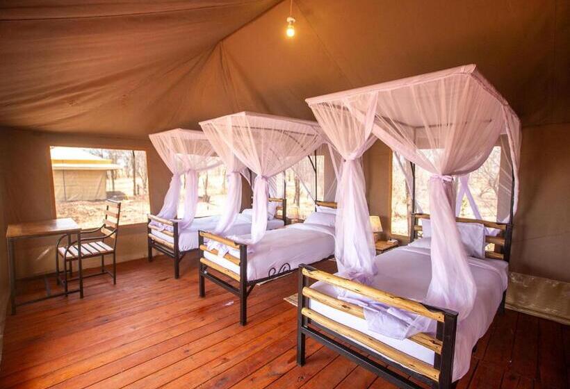اتاق استاندارد سه تخته با بالکن, House Of Nature Serengeti
