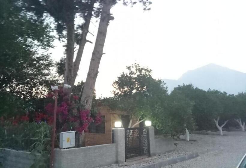 استودیو استاندارد با چشم‌انداز باغ, Metenin Tatil Evleri