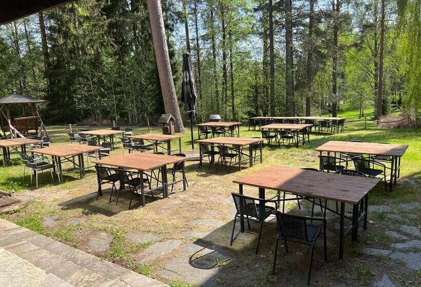 Номер Стандарт, Koivu Ja Kuusi Eräkeskus
