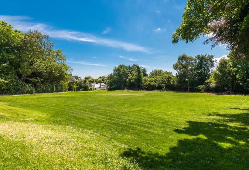 اتاق استاندارد یک تخته با سرویس بهداشتی مشترک, Montebello House
