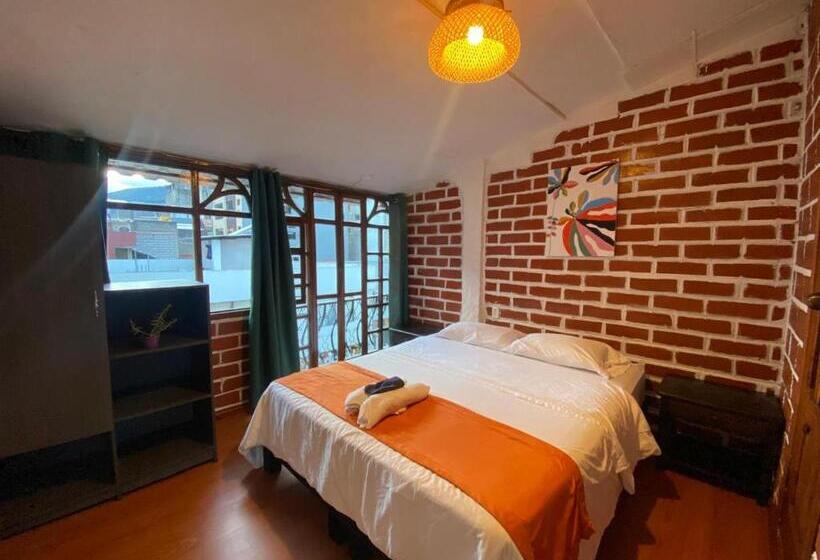스탠다드 룸, Garden House Hostal