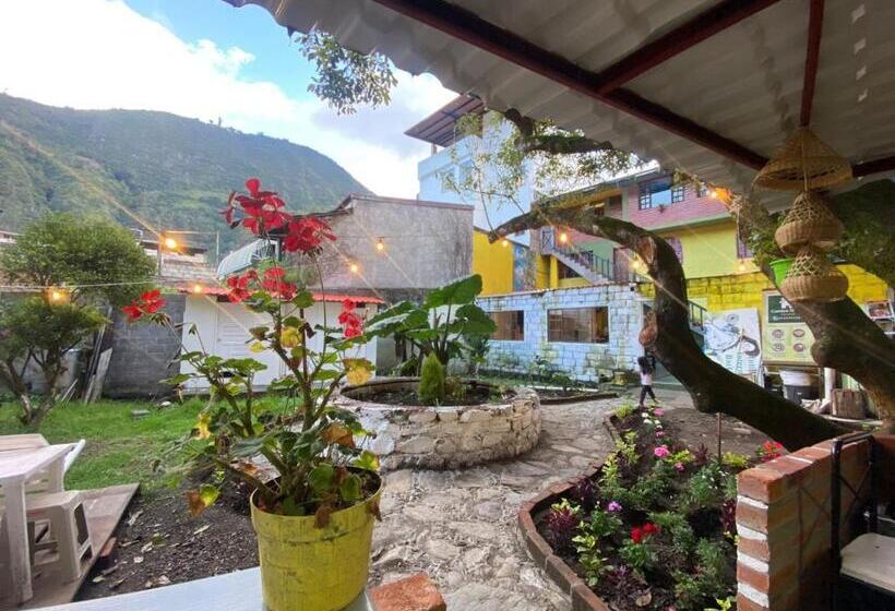 4인용 스탠다드 룸, Garden House Hostal
