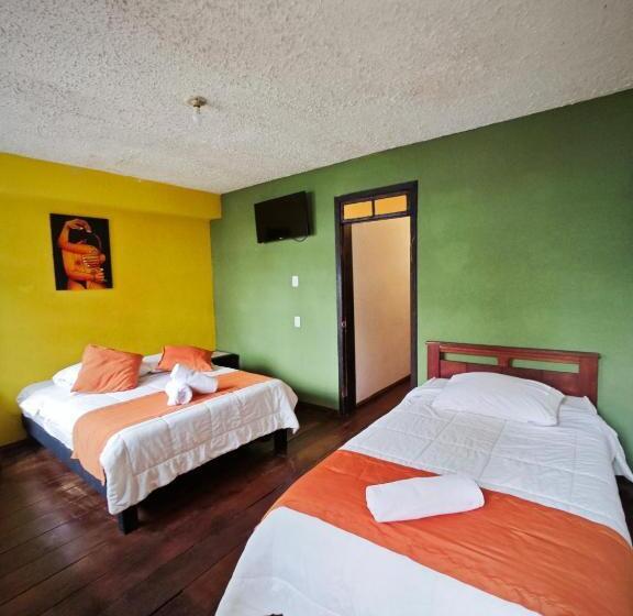 패밀리 룸, Garden House Hostal