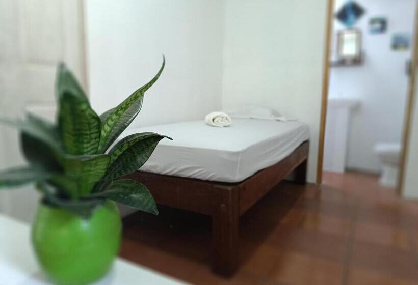 스탠다드 싱글 룸, Casa De Los Berrios