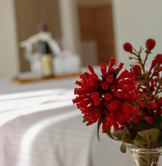 اتاق اکونومی, Villa Antonio