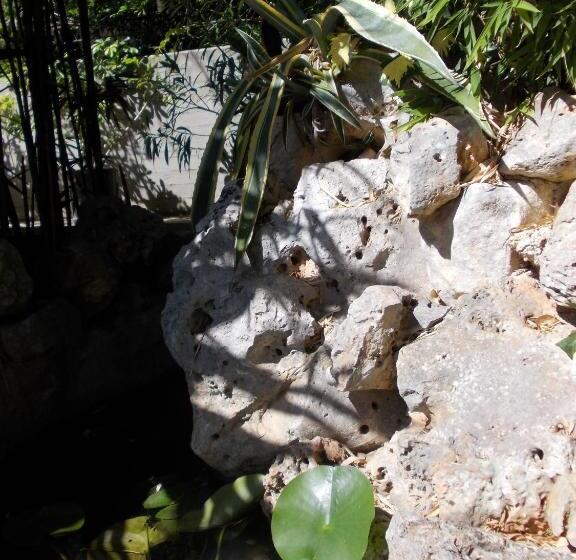 Apartamento 1 Dormitório, B&b Il Bambù