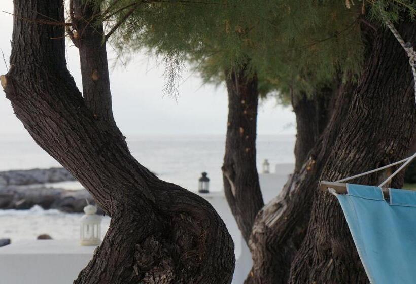 اتاق خانوادگی, Villa Sangineto Resort