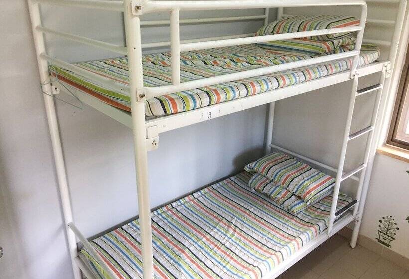 تختخواب در اتاق مشترک, Yha Ngong Ping Sg Davis Youth Hostel