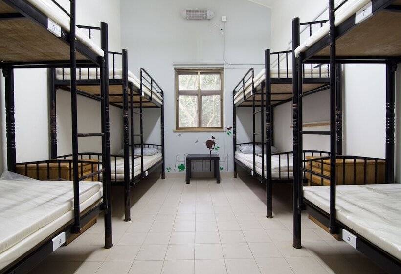 تختخواب در اتاق مشترک, Yha Ngong Ping Sg Davis Youth Hostel