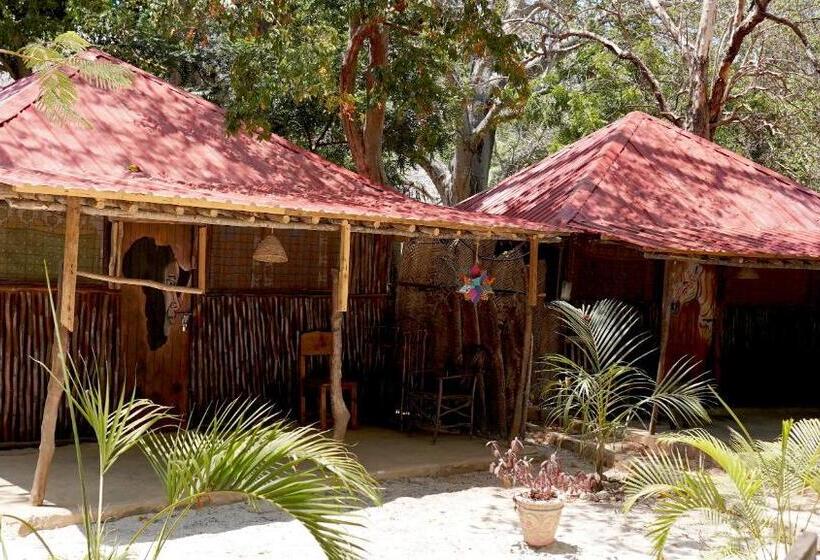 تختخواب در اتاق مشترک, Soul Breeze Beach Resort