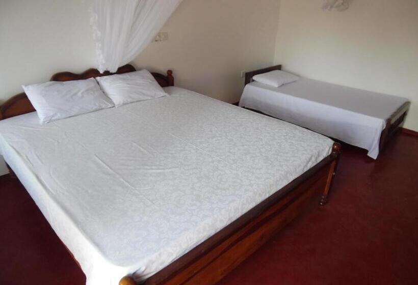 اتاق استاندارد سه نفره, Bloom Guest House