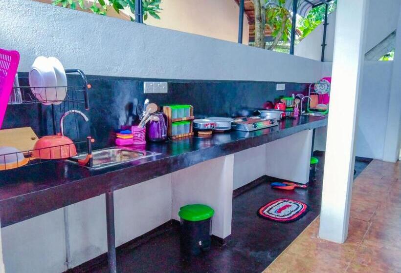 اتاق استاندارد, Bloom Guest House
